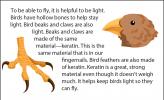 Illustrations of bird claws and a bird beak.