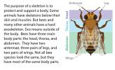 An illustration of different bee body sections.