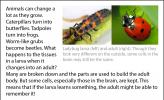 Pictures of a ladybug larva and adult.