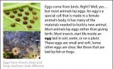 Pictures of insect eggs versus frog eggs.