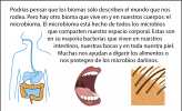 Una ilustración de las diferentes partes donde se encuentra el microbioma humano, incluidos el intestino, la boca y la piel.