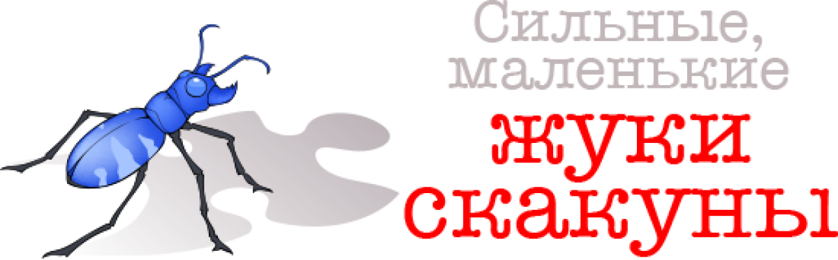 Сильные, маленькие жуки скакуны