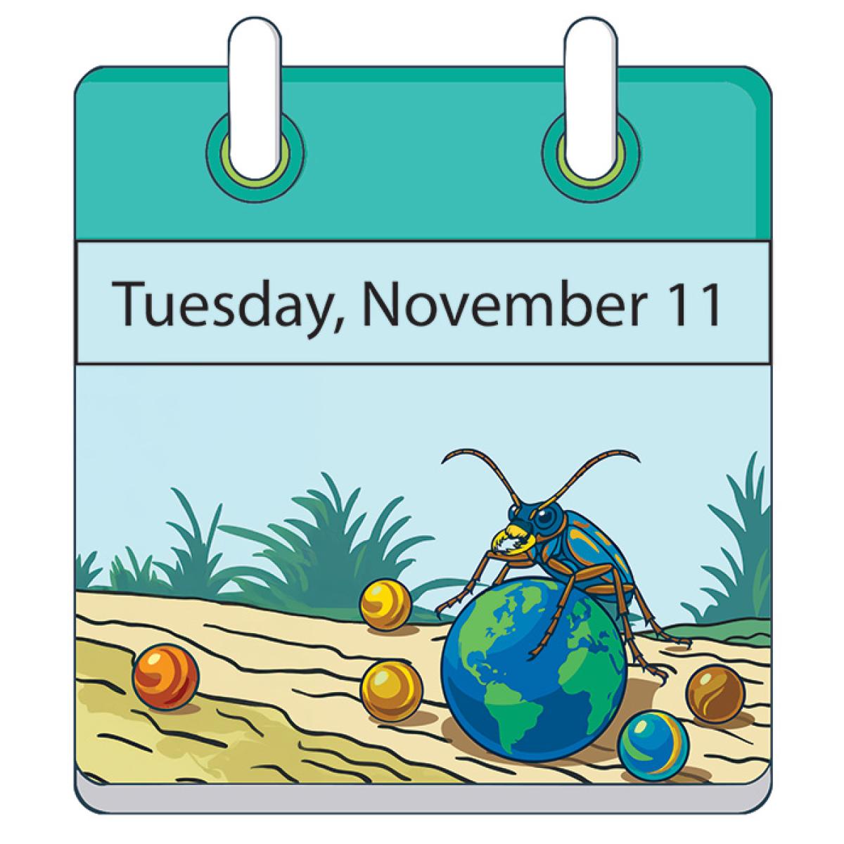 Illustration of a day calendar with a tiger beetle on top of a marble that looks like the planet Earth.