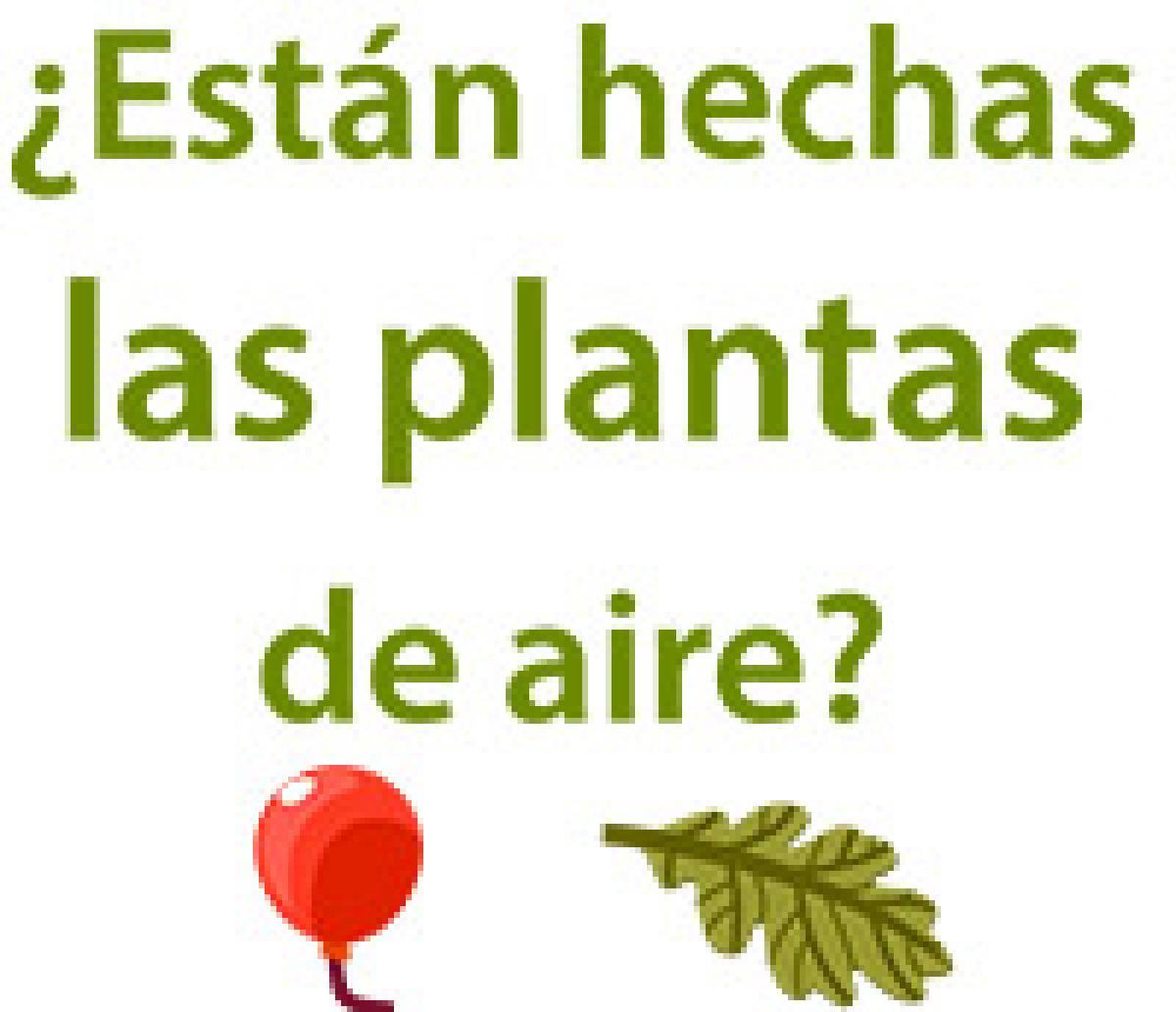 La masa de las plantas esta de aire