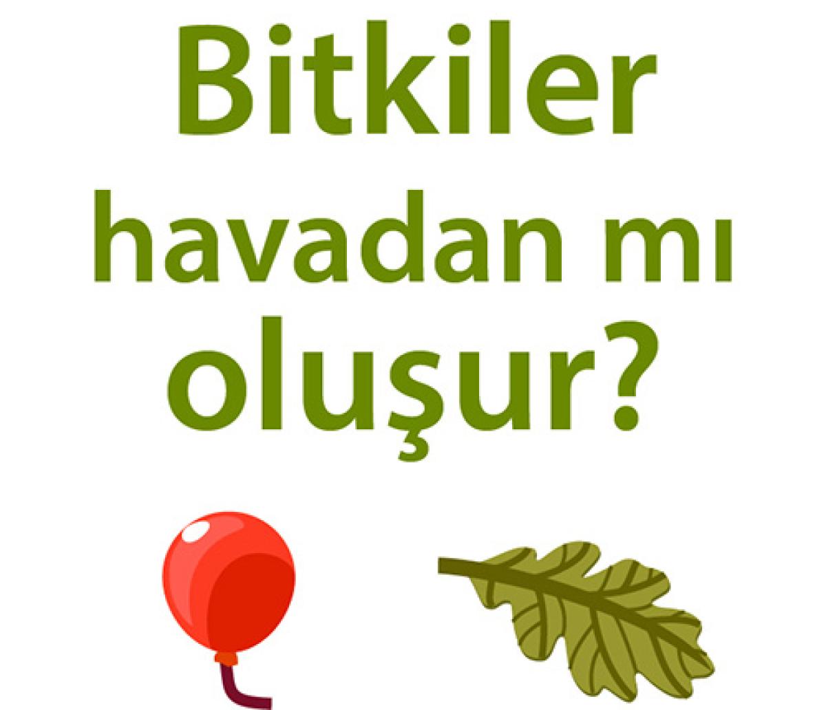 Bitkiler havadan mı oluşur?