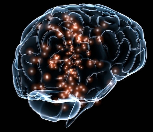 Brain illustration showing activity in lit regions