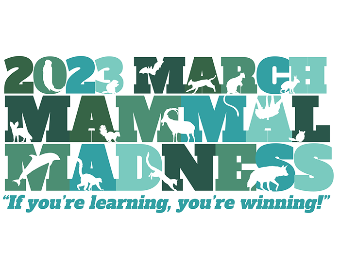 March Mammal Madness