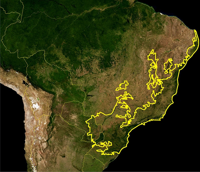 A map of part of South America, with the Atlantic Forest outlined in yellow.