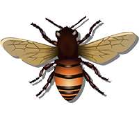 илустрација пчела