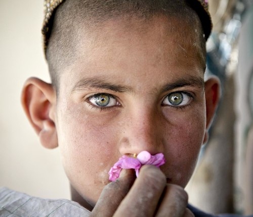 Afghan boy smells flower - Cultural support team