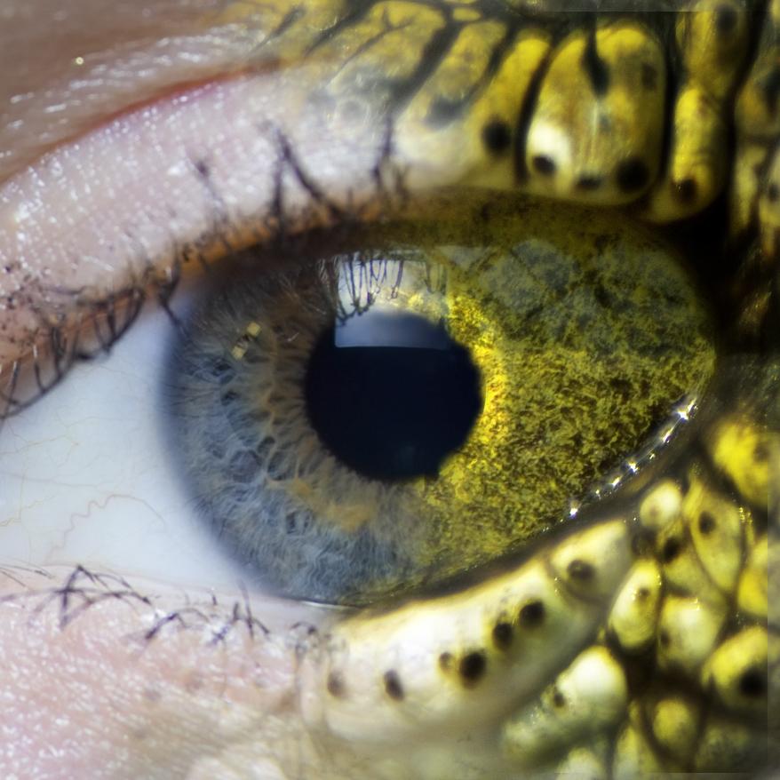 Eye morph human and reptile