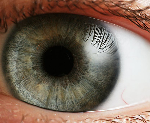 Close up showing a blue colored eye with hazel flecks