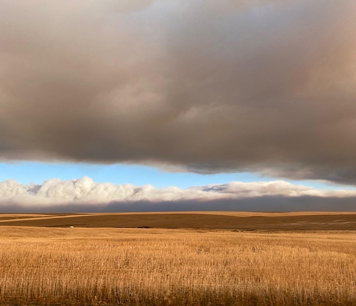 Image de nuages de fumée au-dessus de champs agricoles.