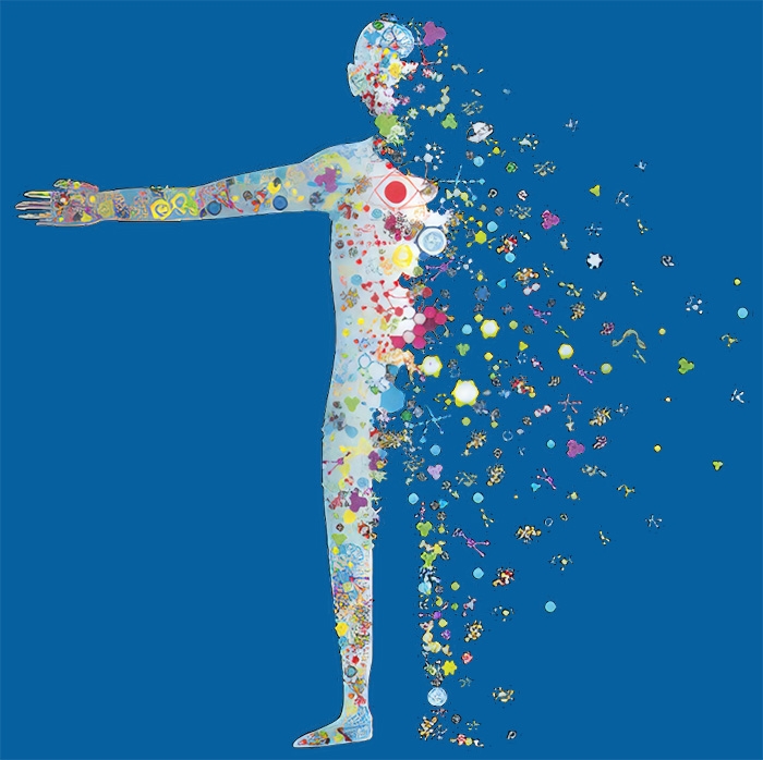 The human metabolome