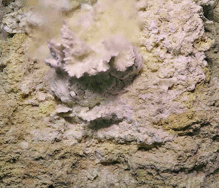 A white mineral growth near hydrothermal vents in the ocean