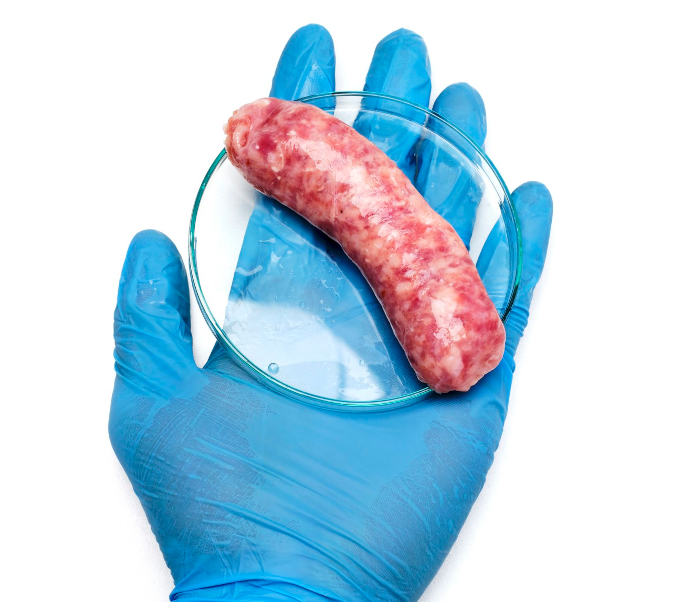 a scientist holding a sausage in a petri dish