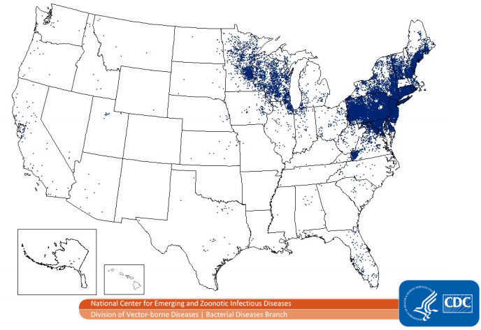 Lyme Disease USA map