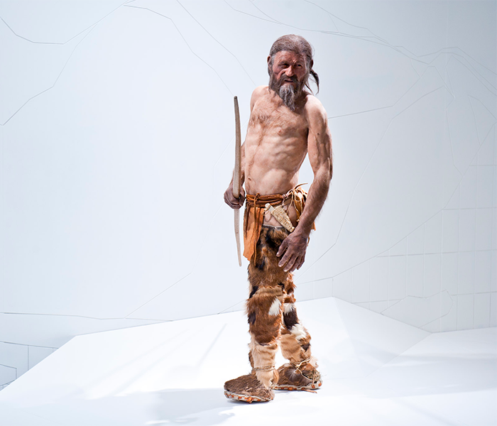 A recreation of what Otzi, a mummy found in ice, would have looked like when he was alive.