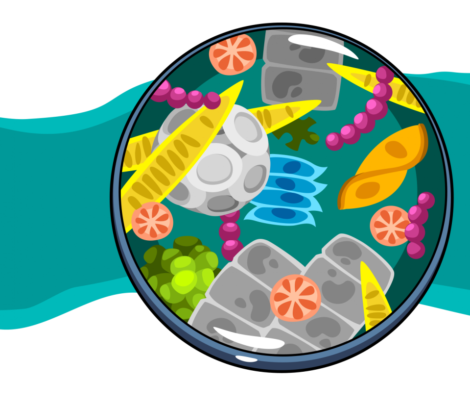 Planktonic Organisms