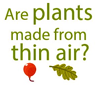 Are plants made from thin air?