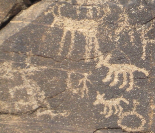 petroglyph of animals on stone