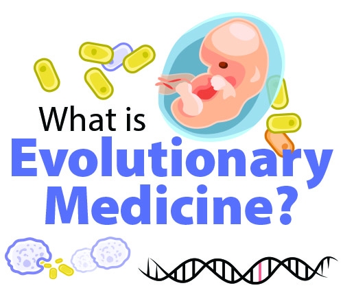 Evolutionary Medicine graphic with embryo, DNA, and cells.