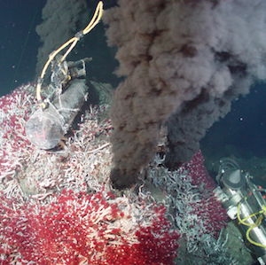 Sully vent, an ocean thermal vent