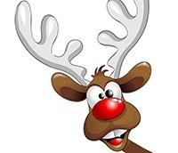 Reindeer Rudolph, image links to Top Questions page