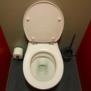 Looking down into an open toilet