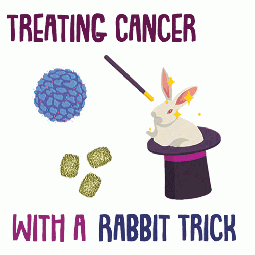 Rabbit in magician’s hat - treating cancer with a rabbit trick