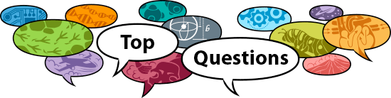 Top Biology Questions | Ask A Biologist