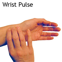 wrist pulse